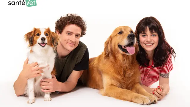 seguro para mascotas perro y gato santevet cobertura veterinaria